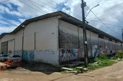 Galpão  para venda possui 3500 metros quadrados em ibura - recife - pe