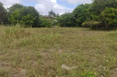 Lote/terreno para venda com 1000 metros quadrados em busca vida (abrantes) - camaçari - ba