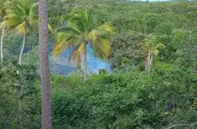 Prédio/edifício inteiro para venda possui 6000 metros quadrados em diogo - mata de são joão - ba