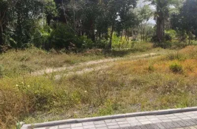 Lote/terreno para venda tem 1117 metros quadrados em busca vida (abrantes) - camaçari - ba