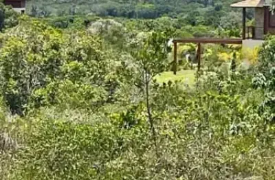 Terreno à venda na Praia Do Forte, 77, Praia do Forte, Mata de São João