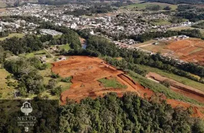 Terreno à venda no Centro, Nova Veneza 