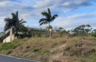 Terreno à venda na Vila Floresta, Criciúma 