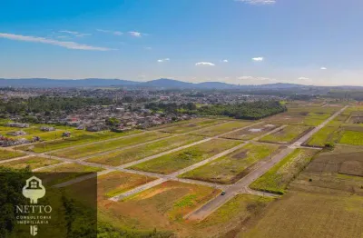 Terreno à venda no São Defende, Criciúma 