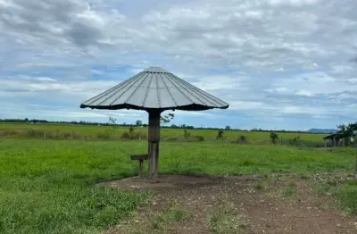 Chácara / sítio à venda no Centro, Forquilhinha 