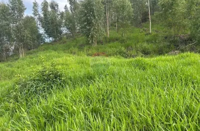 Fazenda em braçanã para quem procura um excelente investimento ou tranquilidade.