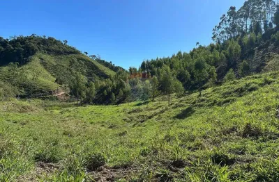 Fazenda em Braçanã para quem procura um excelente investimento ou tranquilidade.