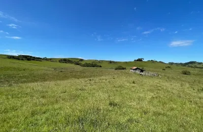 Fazenda à venda na Zona Rural, Caxias do Sul 