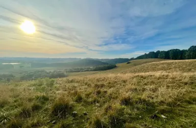 Chácara / sítio à venda na Vila Seca, Caxias do Sul 