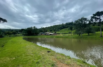 Chácara / sítio com 3 quartos à venda em Criúva, Caxias do Sul 