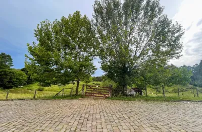 Chácara / sítio à venda no Santo Antônio, Caxias do Sul 