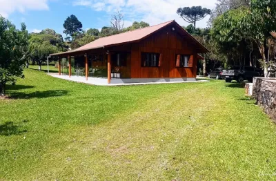 Chácara / sítio à venda no São Ciro, Caxias do Sul 