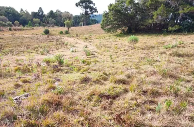 Chácara / sítio à venda na Zona Rural, São Francisco de Paula 