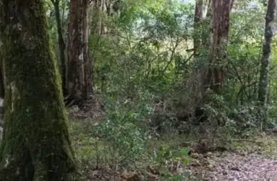 Linda chacara proxima da rota do sol, apanhador, dois km da chao