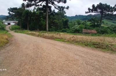 Franceschini vende chácara na terceira légua, linda para lazer