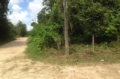 Vendo excelente terreno medindo 30 x 40 totalmente plano, escriturado e registrado.