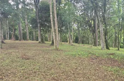 Terreno à venda na Estrada Particular S/n, São Caetano, Balsa Nova