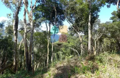 Chácara / sítio à venda na Estrada Da Faxina/ Taquaral, Taquaral, Campo Largo