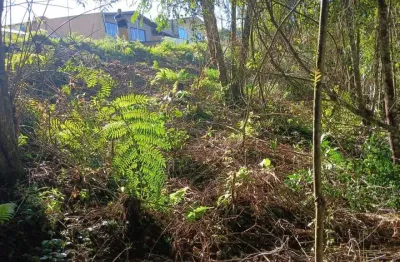 Terreno para venda em campo largo, conjunto habitacional monsenhor francisco gorski