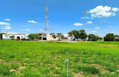 Oportunidade única: terreno padrão para alugar no jardim ricetti, são carlos