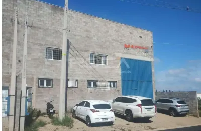 Barracão / Galpão / Depósito para alugar na Rua Bruno Panhoca, 418, Jardim São Paulo, São Carlos