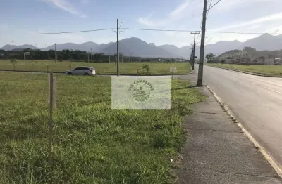Terreno comercial com 504,00 m² no vila nova, frente para a rua são firmino, poucos metros da rodovia do arroz