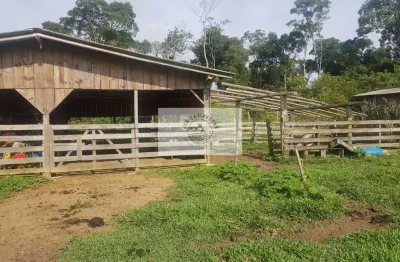 Sítio com 59.800 m2, com residência, nascente, horta
