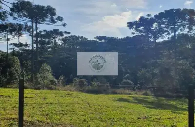 Terreno 8.142 m², escriturado, pode ser financiado pelo banco, varias opções de lotes