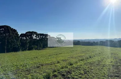 Area rural com 45 hectares,  escriturada, atrás do condominio trilha dos carroções