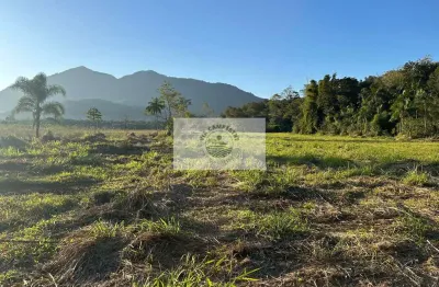 Sítio com 40.657 m², em pirabeiraba, escriturado, com riacho, estrada do pico
