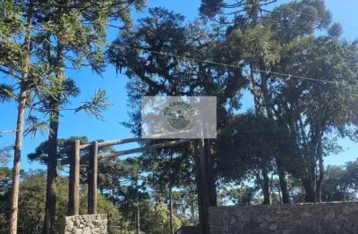 Terreno em condominio de chacaras em campo alegre, bateias de baixo, com 20.022 m2, escriturado