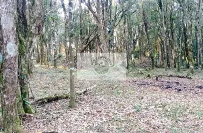 Sítio com 40.000 m2, parcialmente limpo, com nascente, 7 km do centro de campo alegre