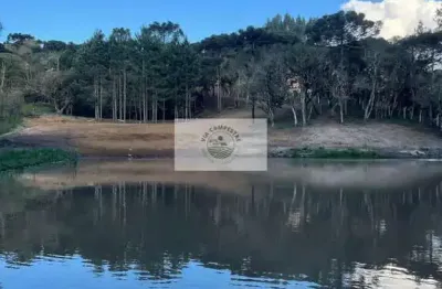 Sítio com 3.000 m², bateias de baixo, com lago e araucárias, escriturado