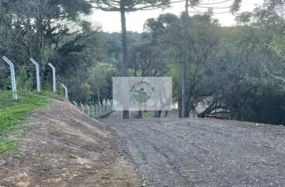 Sítio com 5.200 m², bateias de baixo, com lago e araucárias, frente para rua pavimentada, escriturado