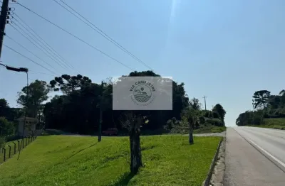 Terreno comercial em campo alegre/sc, de frente para a sc 418, para investimento