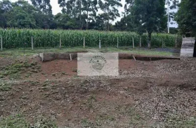 Sítio com 2.031 m², avenquinha, com contrato, apenas 2 km do asfalto