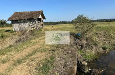 Terreno plano e todo limpo, ideal para condominio fechado, região em alta valorização
