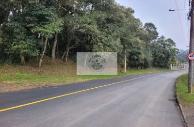 Terreno com 6.000 m², frente para o asfalto, escriturado