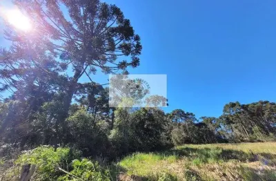 Fazenda à venda na Avenquinha, Campo Alegre 