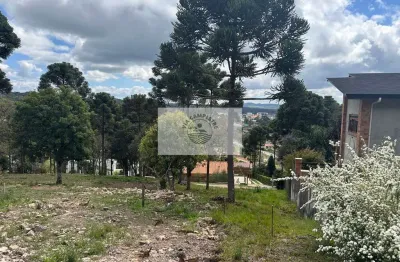 Terreno em condominio fechado, area central de campo alegre, aceita financiamento e permuta