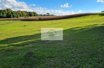 Terreno em condominio fechado, no lageado, com 3.527 m², escriturado