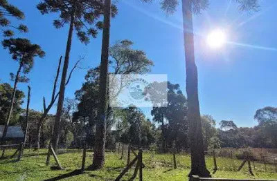 Terreno urbano com 3.215 m², aceita financiamento, terreno plano com araucarias