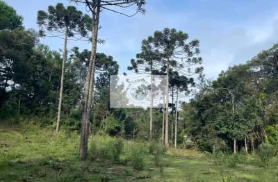 Sítio com 32.288 m², com nascente e riacho, próximo ao sitio cambará, escriturado