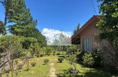 Sítio em Campo Alegre com 12.100 m², com duas casas de madeira, todo cercado, com riacho nos fundos
