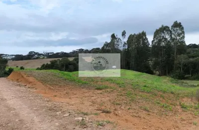 Terreno para sitio com 20.000 m², com riacho e nascente, apenas 3,5 km do asfalto