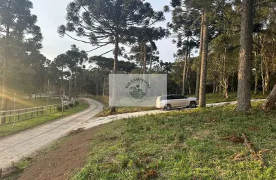 Sítio com 8.310 m², no lajeado, apenas 300 metros do asfalto, aceita financiamento