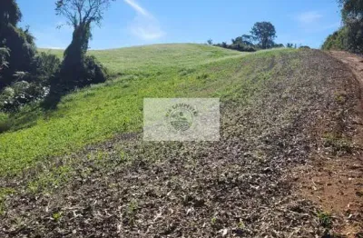 Sítio com 81.949 m², escriturado, aceita permuta, apenas 1.500 metros do asfalto