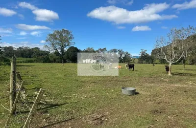 Terreno todo plano, com 15.000 m², fundos para o rio cubatão, apenas 150 metros do asfalto
