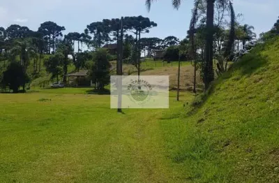 Sítio com 143.000 m², com chalé, casa de caseiro, ranchos e casa inacabada, imóvel escriturado, com cachoeira