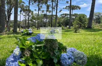 Terreno para sítio com 1.800 m², lugar alto, de esquina, frente para o asfalto